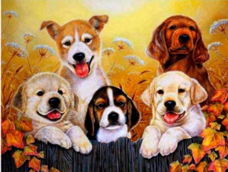 Obrázek z Diamantový obrázek - Parta psů 30x40cm  
